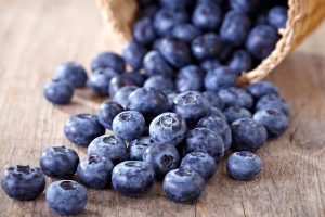Gut bacteria and blueberries