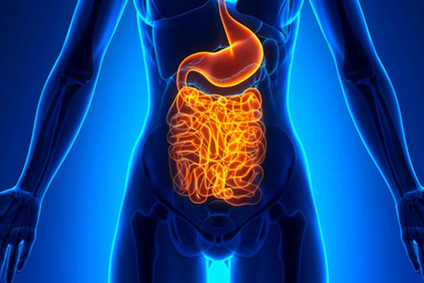 gut health and irritable bowel syndrome
