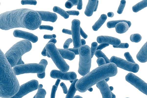 Probiotics for leaky gut